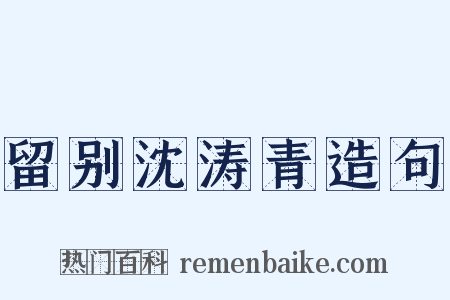 留别沈涛青造句是什么意思的图片